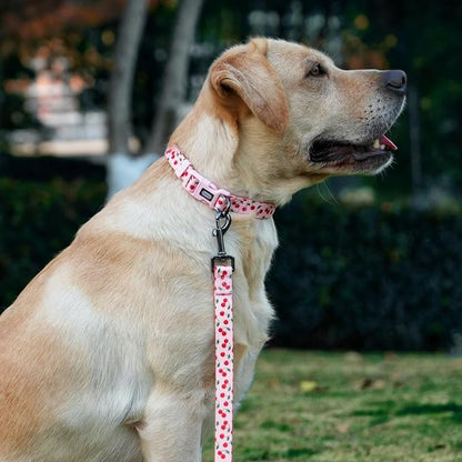 Dog Collar and Leash Set, Cute Cherry Pattern, Polyester Material, 5ft Leash, for Medium Dogs.(Medium,Pink Cherry)