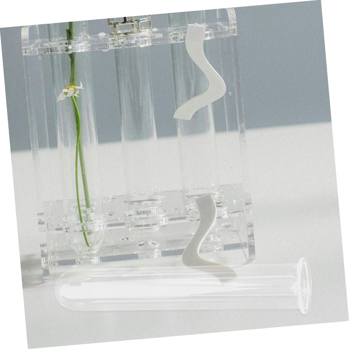 STAHAD Glass Hydroponic Vase Plant Propagation Tubes 5pcs 2.5x3x15cm Test Tubes for Small Terrarium Plants Home Desk Decoration