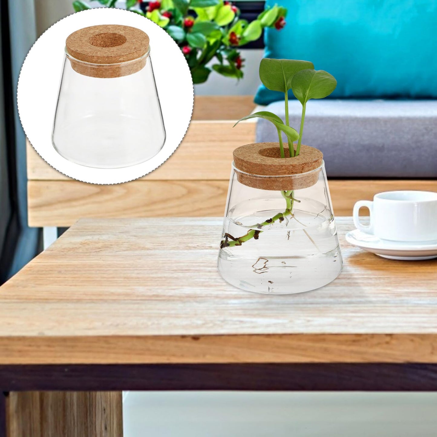 FUOYLOO Desktop Glass Vases for Hydroponics Plants, Stylish Terrarium Planter Wood Lid for Indoor and Hospitality Decor