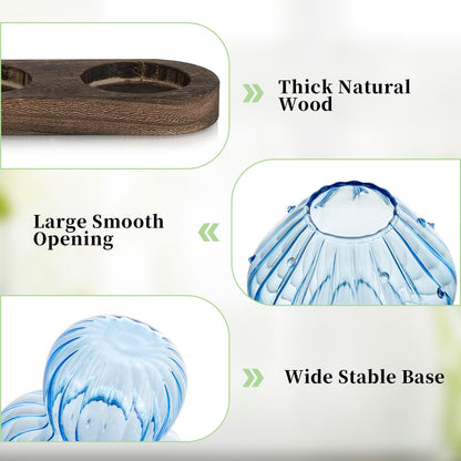 Glasseam Mushroom Plant Propagation Station: Glass Plant Terrarium Jar with Wood Stand Unique Hydroponic Planters for Indoor Plants Cute Propagation Vase for Plant Lovers Home Office Decor 3Pcs
