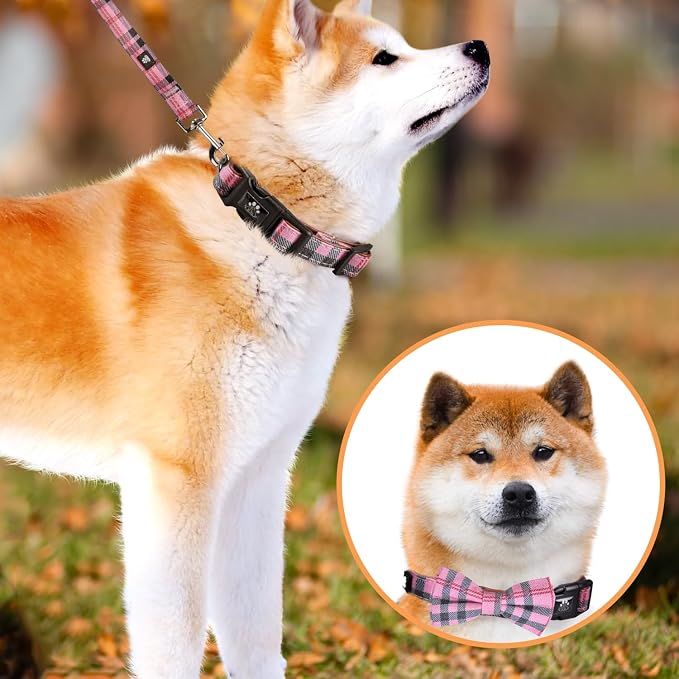 IVY&LANE Dog Collar with Bowtie and Leash Set | Plaid Adjustable Dog Collar | Detachable Bow Tie |5 FT Dog Leash | for Small Medium Large Dogs | Checkered Pink | Medium