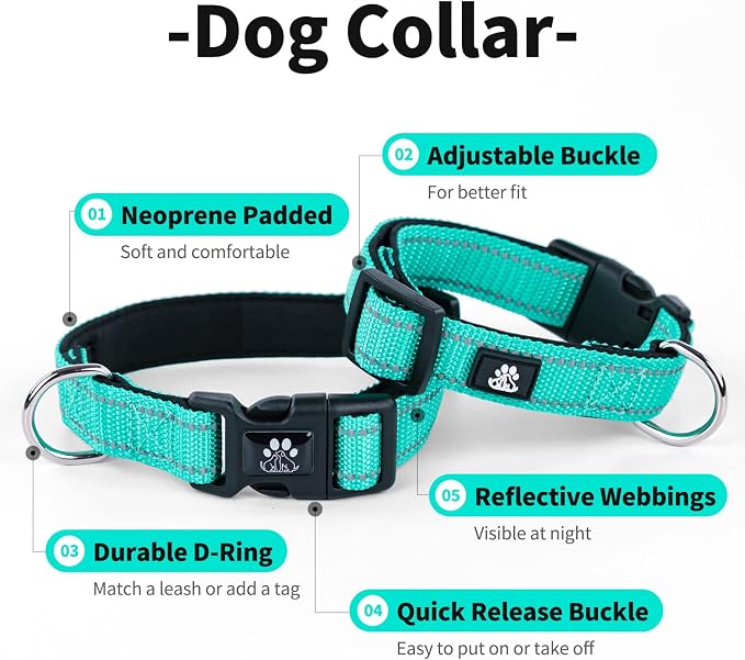 IVY&LANE 2 Pack Reflective Dog Collars and Leashs Set,Adjustable Neoprene Padded Dog Collar for Puppy, Breathable Nylon Pet Collar for Small Medium Large Dogs(Small,Pink+Teal)