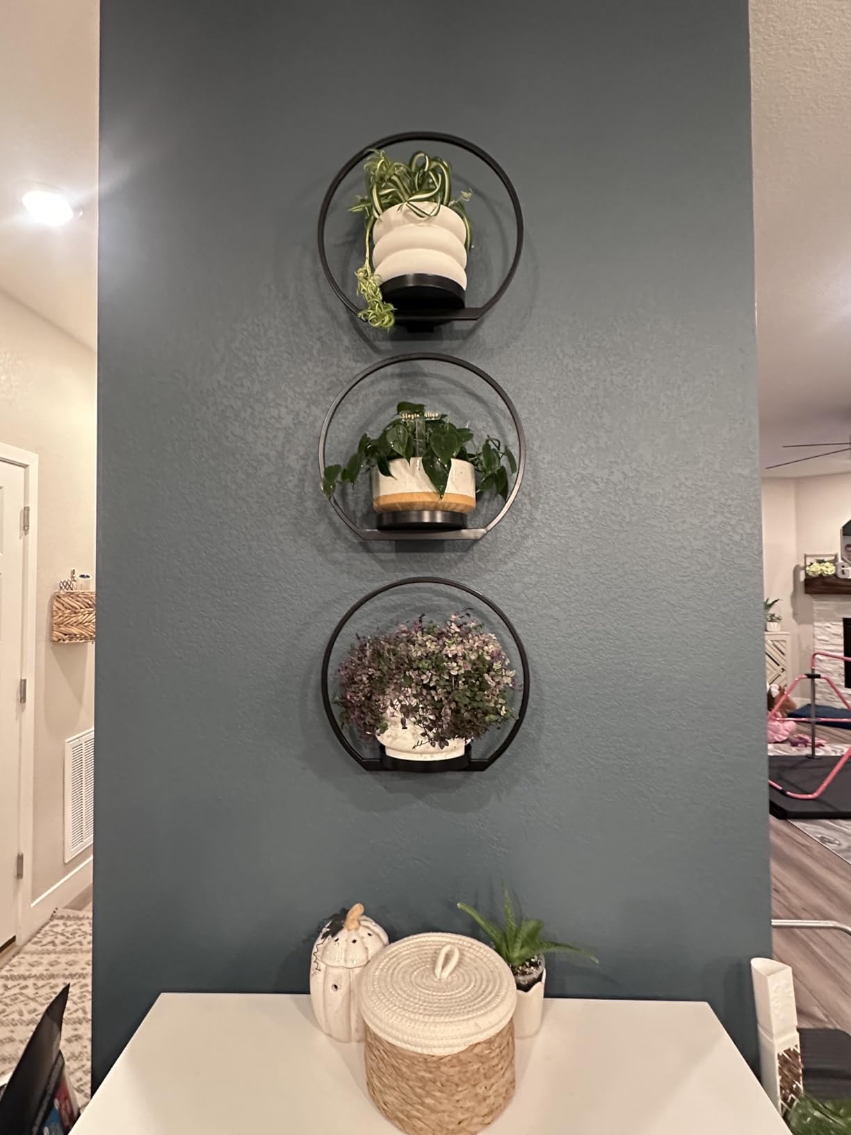 DEMEGA Wall Planters for Indoor Plants,Plant Frames Wall Decor Living Room Plant Stand Hanging Wall Plants Holder to Hold Large Pots Wall Plant Hanger Window Plant Shelves for Outdoor Entryway