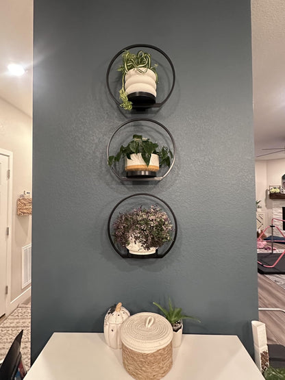 DEMEGA Wall Planters for Indoor Plants,Plant Frames Wall Decor Living Room Plant Stand Hanging Wall Plants Holder to Hold Large Pots Wall Plant Hanger Window Plant Shelves for Outdoor Entryway