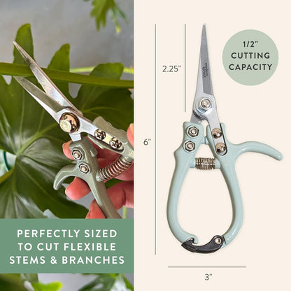 Modern Sprout Pruning Shears - Herb Snipping Scissors- Lightweight Gardening Tools W/Easy Lock - Flower Cutter Garden Shears - Carbon Steel Blade + Plastic-Free Reusable Holster (Multicolor 12 Pcs)