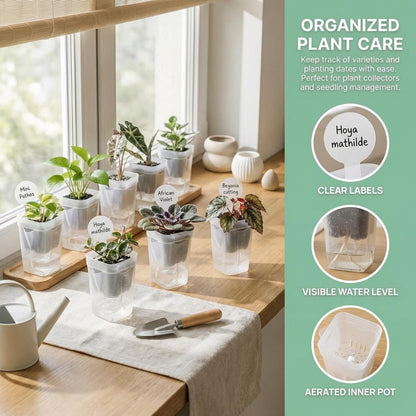 10 Pack 2" Mini Self Watering Pots for Indoor Plants, Small Self Watering Nursery Pots with Drainage Holes, Clear Plastic Plant Pots for Succulents, Cuttings, Herbs (Incl. 50x50cm Gardening Mat)