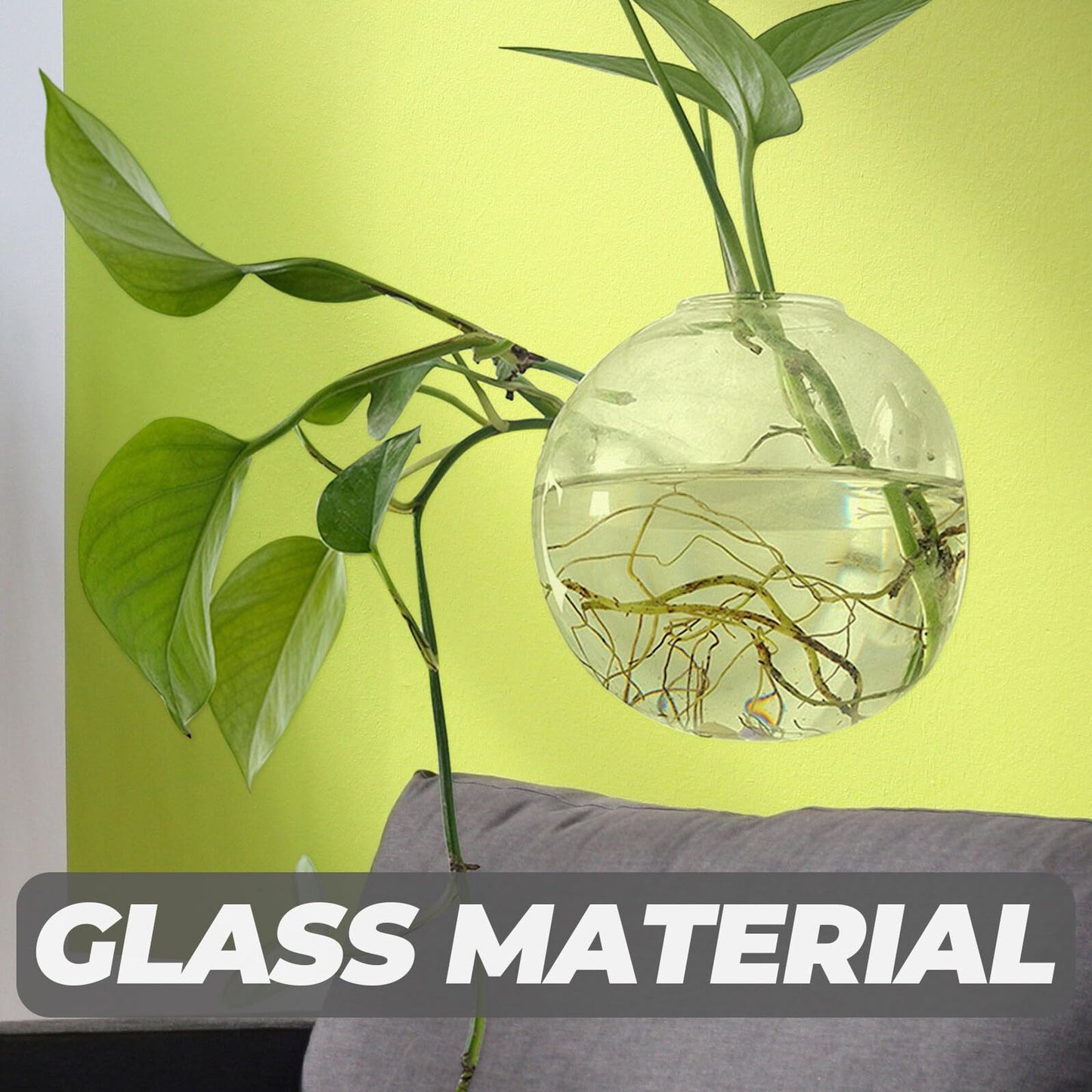 BEBEMOKO Hydroponic Glass Vase Wall Hanging Planter 15cm Terrarium Bottle for Indoor Plant Propagation and Home Décor with Non-Marking Hook