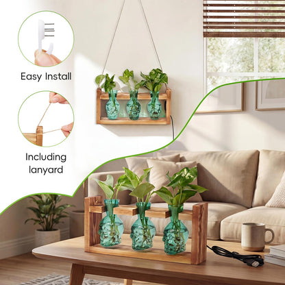 Skull Plant Propagation Station with LED Lights - Halloween Decor Skull Planter, Hydroponics Pot for Office, Unique Gifts for Women & Plant Lovers(Grey)