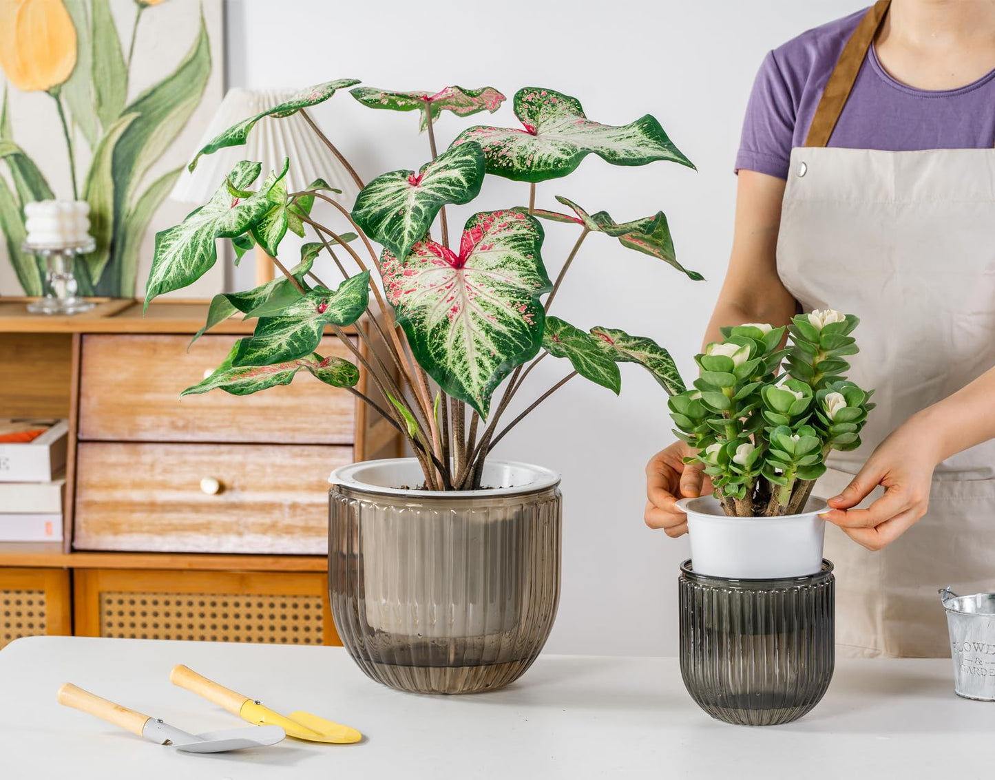 Melphoe Self Watering Pots for Indoor Plants Planter, 8.3/5.3 Inch 2 Pack Planters Self Watering Plant Pots for Flower, Houseplants, Succulent, African Violets and Cactus with Drainage