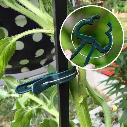 Iniscape A Plant Clamp Used for Climbing Plants,Horticultural Clip Used to Support Climbing of Flower Stems, Vines, Vegetables, and Tomatoes,Vine Clip for Garden Vine Training (Green, 60 small60 Big)