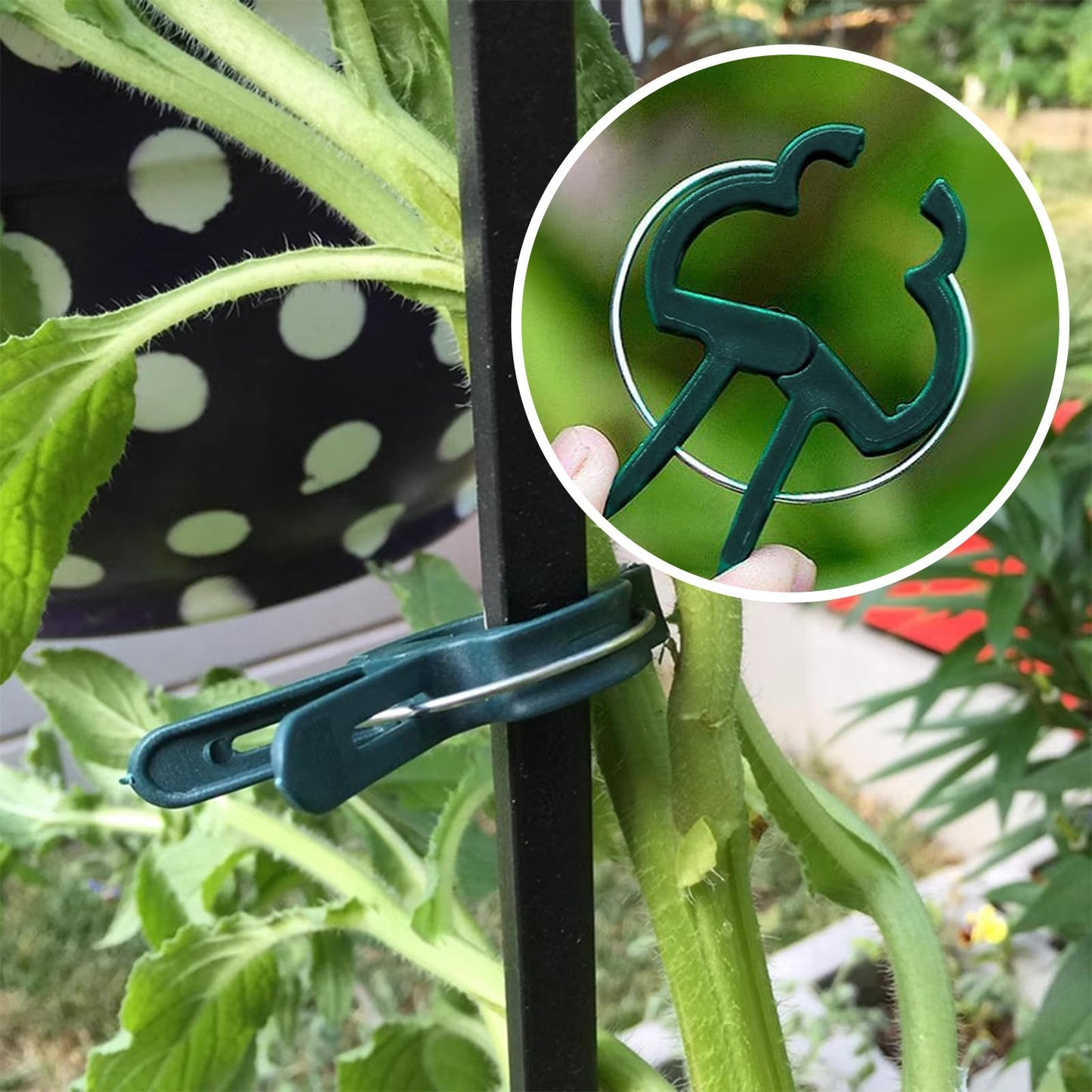 Iniscape A Plant Clamp Used for Climbing Plants,Horticultural Clip Used to Support Climbing of Flower Stems, Vines, Vegetables, and Tomatoes,Vine Clip for Garden Vine Training (Green, 120big)