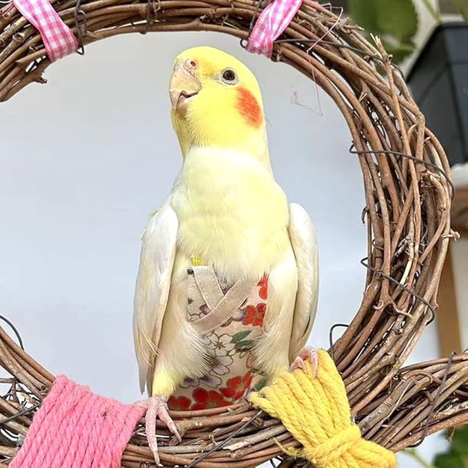 Bird Flight Suits Diapers, Parrot Flight Suits Diapers for Quaker Parakeets Cockatiels Conures Macaw African Grey, Bird Diaper, Parrot Clothes (Purple A,2XL)