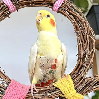Bird Flight Suits Diapers, Parrot Flight Suits Diapers for Quaker Parakeets Cockatiels Conures Macaw African Grey, Bird Diaper, Parrot Clothes (Red A,M)