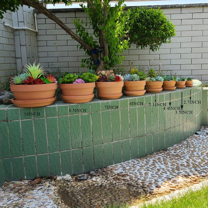 Yishang 5 Inch Shallow Terracotta Clay pots with Drain Hole,Ceramic Plant pots for Indoor/Outdoor Plants,Unglazed Bonsai Planter with Saucer/Tray for Cacuts/Succulent Plants