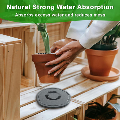 XRzitky 10 Inch 2 Pack Diatomaceous Earth Plant Pot Saucers Trays for Indoors No Holes, Diatomite Plant Drip Water Catcher Tray for Pots, Planter Drainage Saucers Plates to Catch Water, Deep Grey