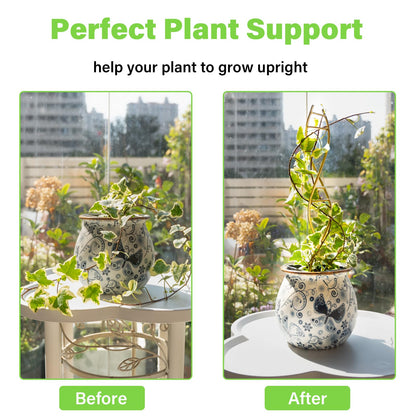 GOOOXIM Indoor Plant Trellis for Potted Plants - Durable Metal Climbing Trellis with Unique DNA Spiral Design for Vining Plants, Easy Installation for Indoor & Outdoor Use