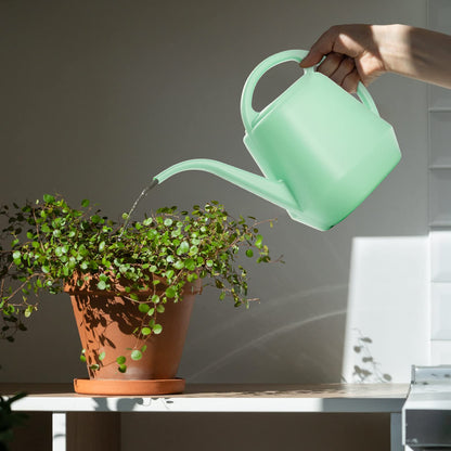 Fasmov Plastic Watering Can, 1-Gallon, Pine Green