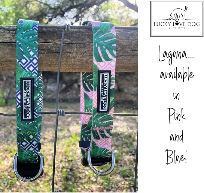 Lucky Love Dog Martingale Collar and Leash Set, Premium No Slip Martingale Collar for Medium Boy Dogs, Great for Whippets, Greyhounds, and More (Medium, Blue Laguna - Combo)