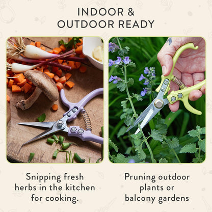 Modern Sprout Pruning Shears - Herb Snipping Scissors- Lightweight Gardening Tools W/Easy Lock - Flower Cutter Garden Shears - Carbon Steel Blade + Reusable Holster (Chartreuse, 1-Pack)