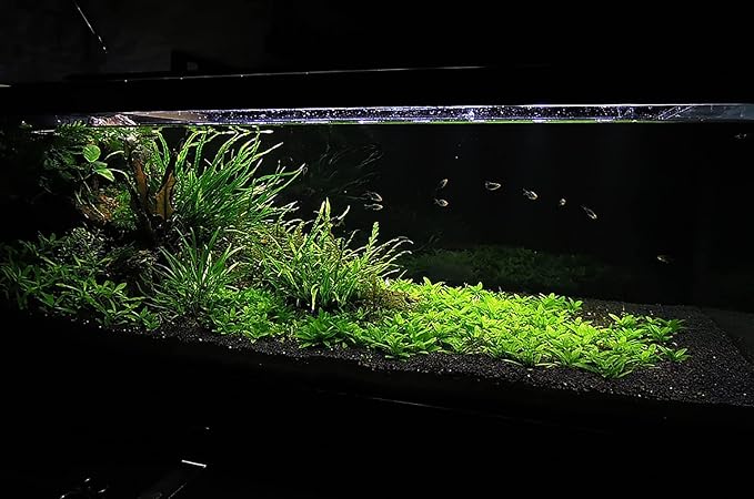 Ultum Nature Systems Controsoil - Freshwater Aqua Soil Substrate for Fish, Shrimp, Live Plant Propagation and Aquascaping - 6.8pH Low Ammonia, Volcanic Ash - Black, Fine (1 Liter)