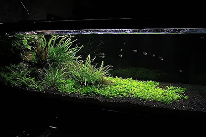 Ultum Nature Systems Controsoil - Freshwater Aqua Soil Substrate for Fish, Shrimp, Live Plant Propagation and Aquascaping - 6.8pH Low Ammonia, Volcanic Ash - Black, Normal (10 Liter)