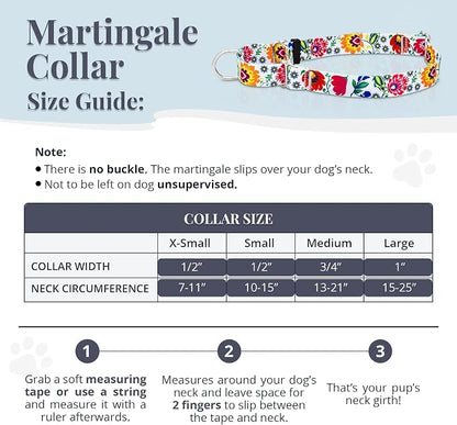 Lucky Love Dog Martingale Dog Collar - Adjustable, No-Slip, Durable, & Soft Webbing Collar for Male and Female Dogs Ideal for Training & Walking - Ladybird, Large