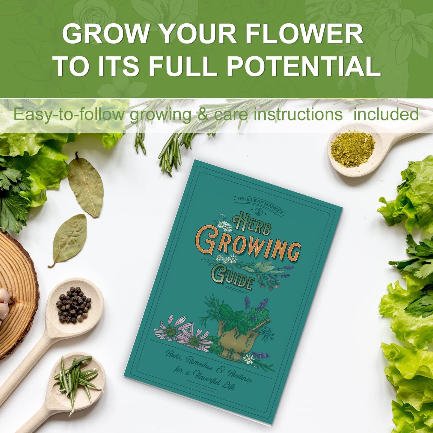Meekear Indoor Herb Garden Starter Kit, 5 Non-GMO Herb Seeds - Basil, Parsley, Rosemary, Thyme, and Mint with Complete Planting Set for Kitchen Herb Garden DIY