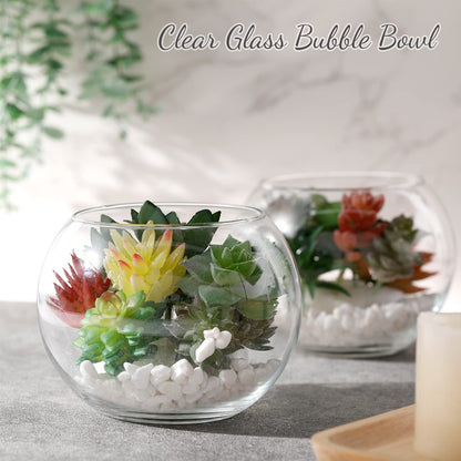 Clear Bowl Glass Vase Bubble Glass Round Vase Clear Bubble Planter Terrarium Fish Bowl Vase for Wedding Event Home Decor Flowers Fish(6 Pcs,4.5 x 3.7 x 5.9 Inch)