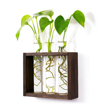 PACDONA Wooden Propagation Station with 3 Glass Test Tubes, Tabletop Glass Terrarium Holder for Cuttings Hydroponics, Home Office Desk Decor Gift for Women Mom Plant Lovers, Brown