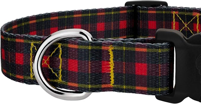 Country Brook Petz - Buffalo Plaid Everyday Dog Collar and Leash - Plaid and Argyle Collection Featuring Charming Designs (1/2 Inch, Extra Small)