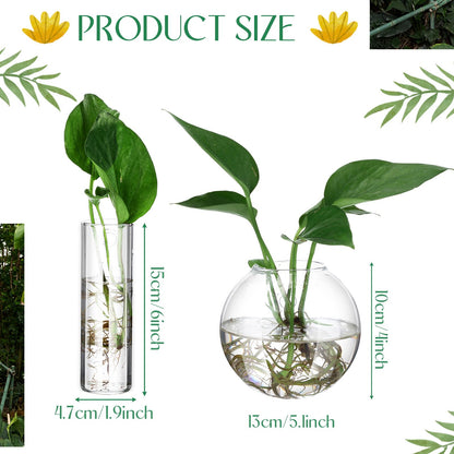Baderke 6 Pcs Glass Wall Hanging Vase Indoor Propagation Planter with Hanging Suction Cup and Plastic Invisible Traceless Hanger for Hydroponic Flower Succulent Spring Summer Wedding Wall Mount Decor