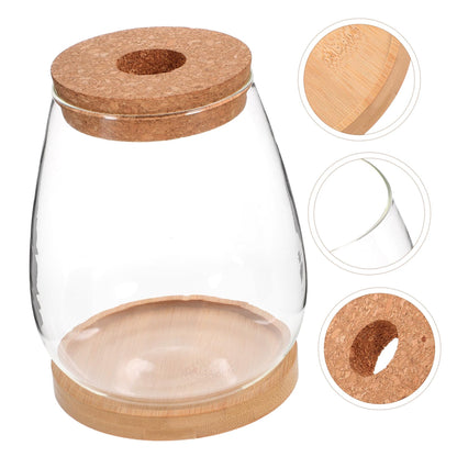 BESPORTBLE 1 Set Plant Terrarium Hydroponic Glass Vase Holder with Base Container for Plants Transparent Flower Arrangement Decor for Home Office and Garden