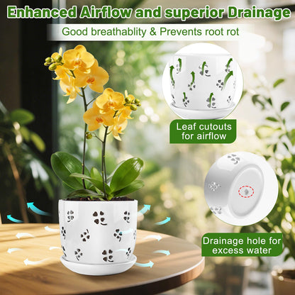 REMIAWY Orchid Pot, 6 Inch and 5 Inch Large Ceramic Orchid Planter with Drainage Holes and Saucer, Decorative Flower Pots for Indoor Outdoor Plant Repotting, Succulent, Good Air Circulation, 2 Packs