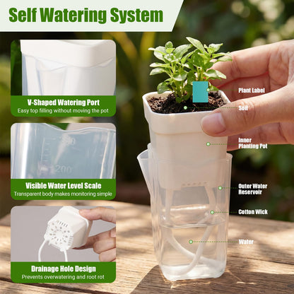 RimCereal 30 Pack 2" Small Self Watering Pots for Indoor Plants Clear Mini Self Watering Plant Pot with Water Level, Drainage Holes 30 Plastic Label 3 Planting Tools, Rope for Propagation Succulents