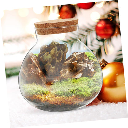 BESPORTBLE Microlandscape Ecological Bottle Cork Stopper – Round Glass Terrarium Container for Moss Plants – Decorative Planter for Home Office and Garden