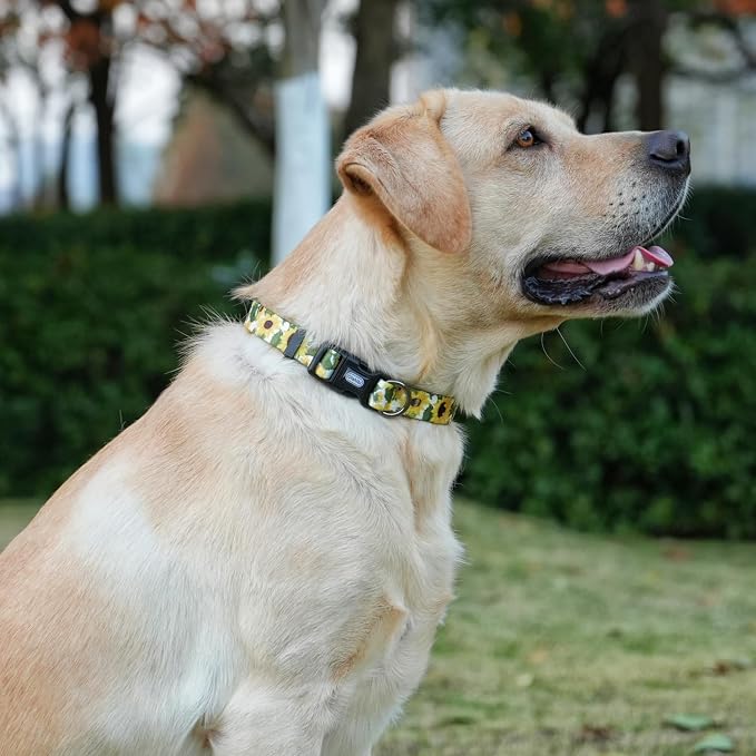 Dog Collar Leash Set, Floral Pattern, 5ft Matching Leash, Polyester Material, 4 for Small Medium Large Dogs.(M, Sunflower)