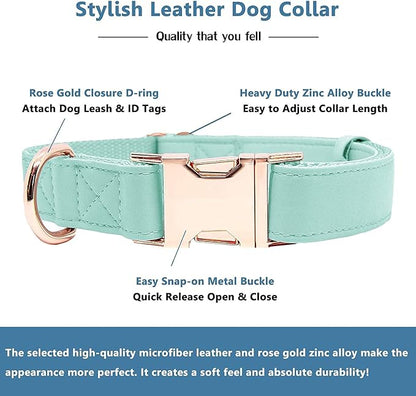 Soft Leather Dog Collar and Leash (6.6') Set - Stylish Rose Gold Heavy Duty Metal Buckle, 4 Adjustable Lengths Leash for Small Medium Large Dogs - Comfortable & Easy to Clean Mint Green S(12.2"-16.9")