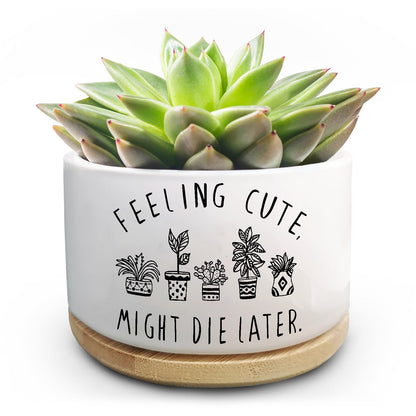 Jutasty Funny Succulent Plant Pot, Small Flower Planter for Indoor Plants, Cute Ceramic Cactus Planter Pots with Drainage, Windowsill Desk Decor Unique Planter Gift, Feeling Cute (No Plants)