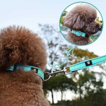 NESTROAD Dog Collar and Leash Set,Reflective Dog Collars with Quick Release Buckle,Adjustable Nylon Pet Collar for Small Medium Large Dogs(Small,Teal)
