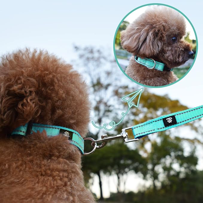 NESTROAD Dog Collar and Leash Set,Reflective Dog Collars with Quick Release Buckle,Adjustable Nylon Pet Collar for Small Medium Large Dogs(Medium,Teal)