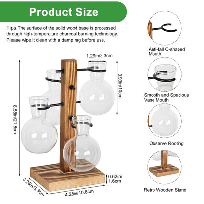 PAG-Mass Plant Propagation Station with 4 Glass Vases & Wood Stand, Hydroponic Air Planter for Indoor Plants, Unique Gardening Gift for Women & Plant Lovers, Desktop Terrarium for Home Decor