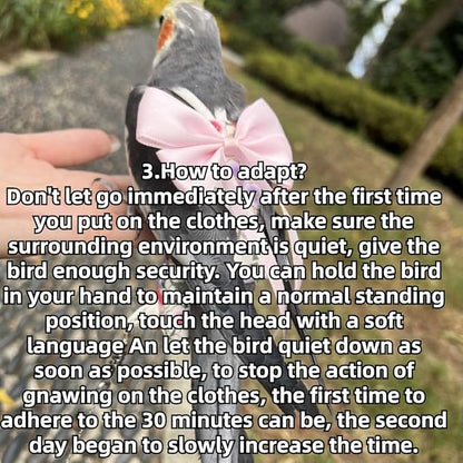 Bird Diaper Parrot Washable Diapers, Parrot Flight Suit, Reusable Nappies for Parakeet Cockatiel Mini Macaw Budgie Conure Lovebird (Black,2XL)