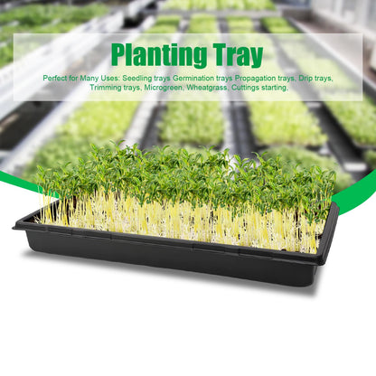 RooTrimmer 10 Pack 1020 Trays, Extra Thick Heavy Duty Seed Starting Trays - No Holes, No Leak, Reusable Propagation Flats for Microgreens, Seedlings, Plant Germination, Fodder and Transplant