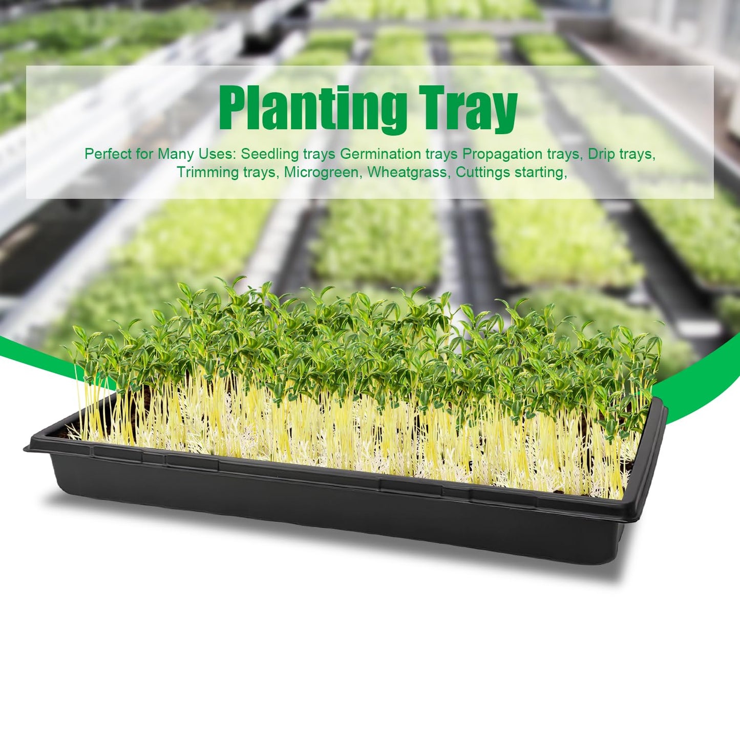 RooTrimmer 10 Pack 1020 Trays with 6.3inch High Humidity Domes, Thick and Heavy Duty Seed Starting Trays, Extra Strength Seed Starter Covers with 2 Adjustable Vents-