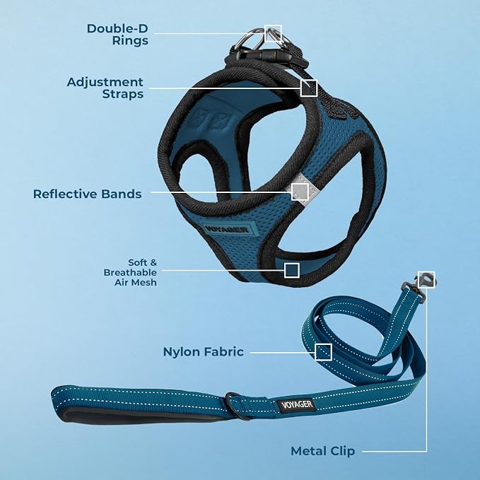Best Pet Supplies Voyager Step-in Air All Weather Mesh Harness and Reflective Dog 5ft Leash Combo with Neoprene Handle, for Small, Medium and Large Breed Puppies - Blue/Black Trim, Large