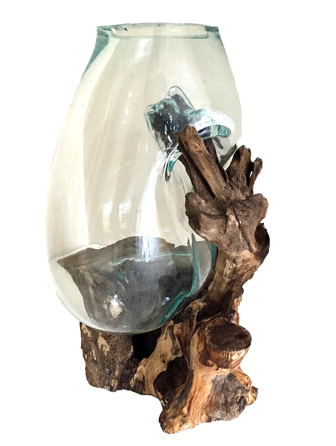 OMA Hand Blown Molten Glass on Driftwood Terrarium Vase or Planter – Recycled Glass & Natural Wood for Coastal & Boho Home Décor (12"–14" High)