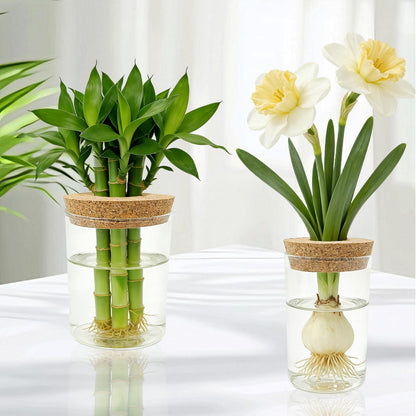 Glass Propagation Station for Plants Set of 4,Desktop Vases for Herb,Plant Cuttings,Planter Jars for Home,Propagation Flower Vases for Living Room,Bedroom,Home Office Decoration,Plant Lover Present