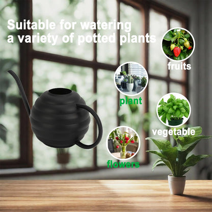 Lianshi Plant Watering Bottle, 400ml/14oz, Retro Style Watering Can, Matte, Frosted (Black)