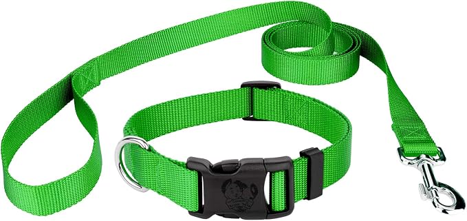 Country Brook Petz - Everyday Nylon Dog Collar and Leash - 10+ Cool Colors (3/8 Inch, Extra Small, Hot Lime Green)