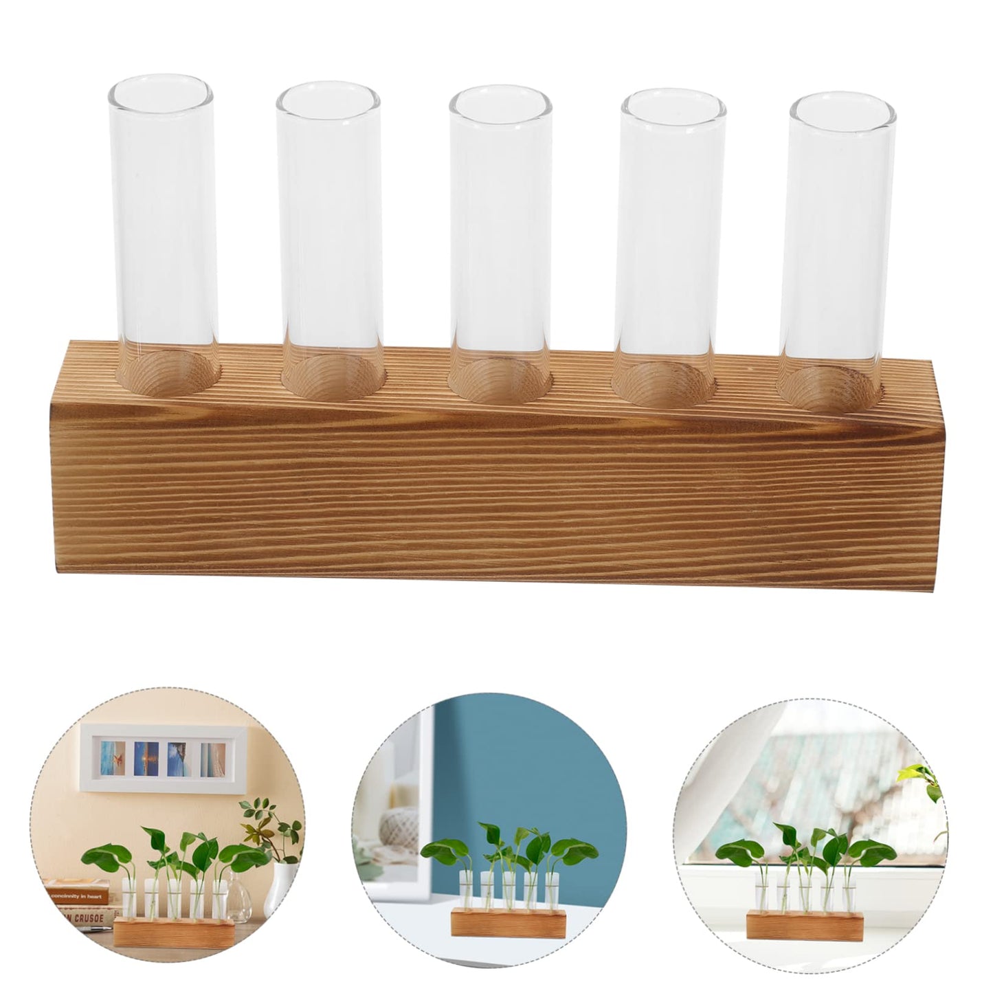 Homoyoyo 1 Set Clear Hydroponic Glass Vase for Decorative Planting - Ideal for Centerpieces - Air Plants and Flower Propagation Elegant Terrarium Planter for Home and Office Decor